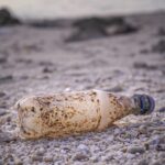 bottle, trash, pollution, plastic pollution, empty bottle, plastic bottle, recycling, waste, garbage, environment, ecology, eco, environmental, rubbish, disposal, plastic pollution, plastic pollution, plastic pollution, plastic pollution, plastic pollution, plastic bottle
