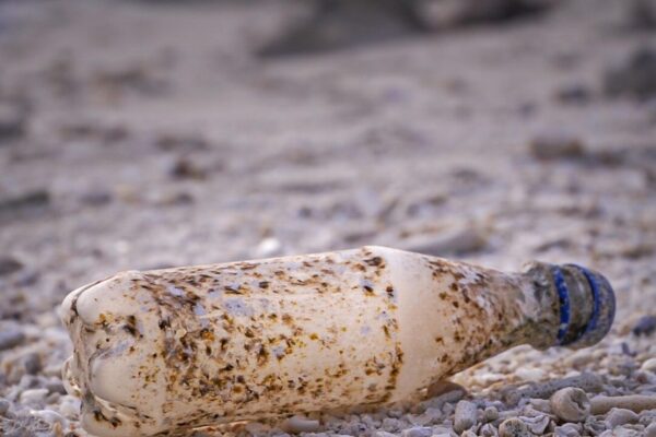 bottle, trash, pollution, plastic pollution, empty bottle, plastic bottle, recycling, waste, garbage, environment, ecology, eco, environmental, rubbish, disposal, plastic pollution, plastic pollution, plastic pollution, plastic pollution, plastic pollution, plastic bottle