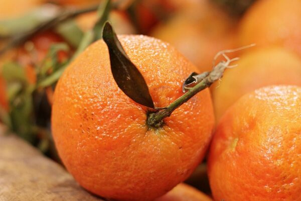 fruit, orange, clementine, citrus × aurantium, vitamins, citrus fruit, juicy, delicious, eat, healthy, food, tasty, nutrition, citrus, sweet, ripe, orange, orange, orange, orange, orange