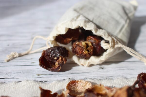 soap nuts, to wash, soap, hygiene, clean, cleaning, maintenance, naturally, household, zero waste, sustainable, alternative, healthy, bio, laundry, bag, leinbeutel, nature, plastic free, summer