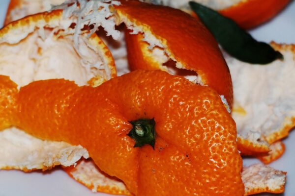 orange peel, shell, orange, close up, surface, structure, datailaufnahme, peeled off, waste, garbage, organic waste, orange peel, orange peel, orange peel, orange peel, orange peel, organic waste, organic waste