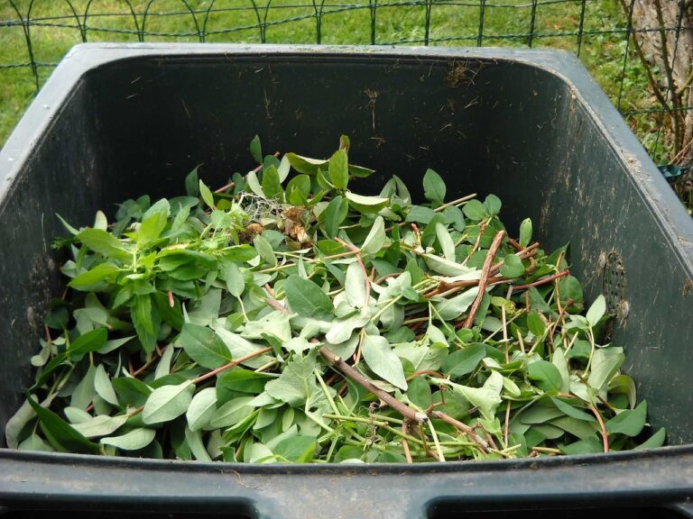 Daur Ulang Sampah Organik: Mengubah Limbah Rumah Tangga Menjadi Kompos, Biogas, dan Eco-Enzyme Bernilai Ekonomi