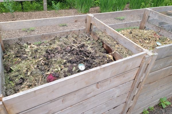 a couple of wooden boxes filled with dirt