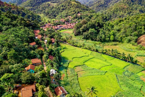 Scenic aerial view of vibrant farmland and village in Rumpin, West Java, Indonesia.