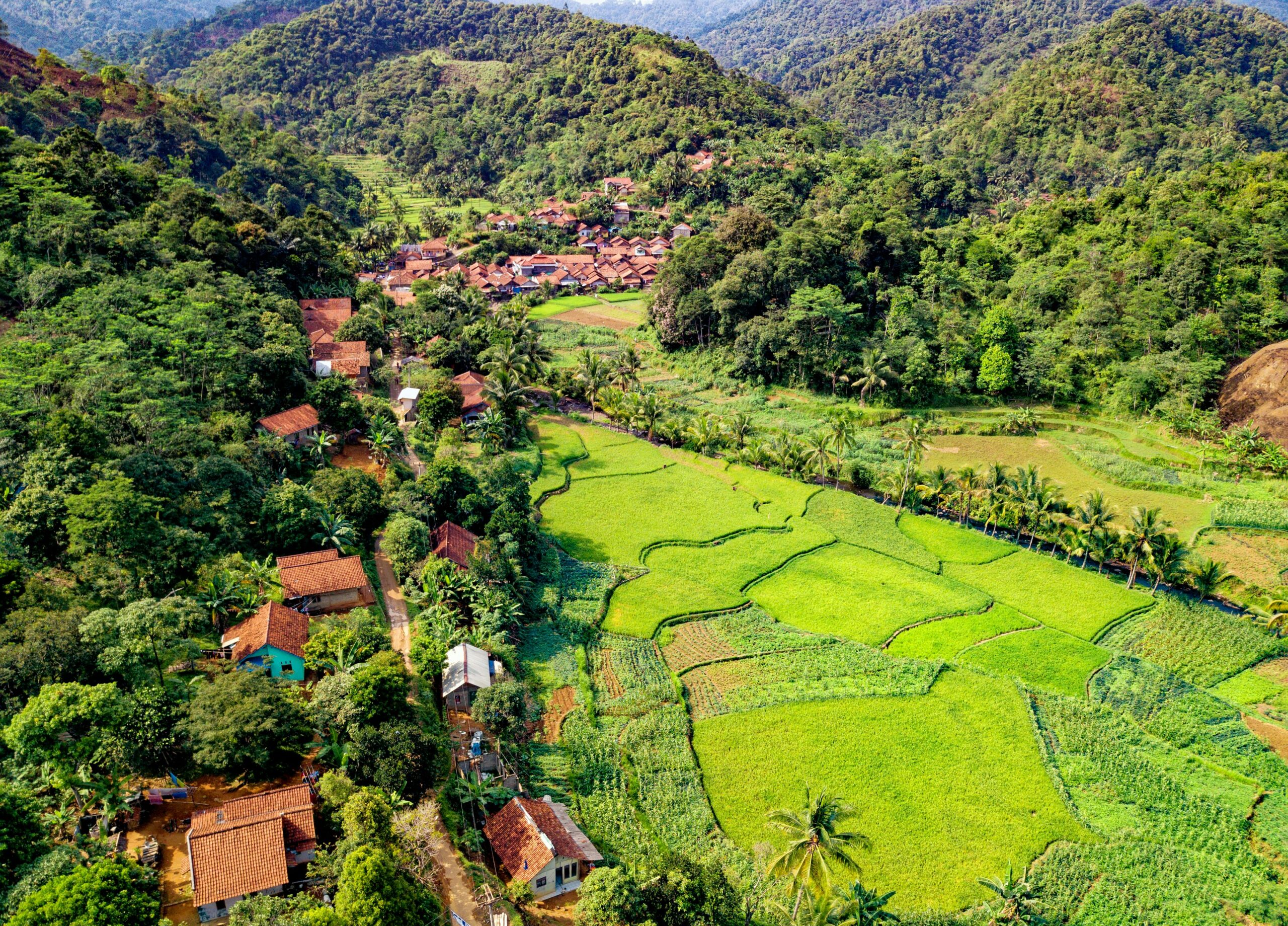 Scenic aerial view of vibrant farmland and village in Rumpin, West Java, Indonesia.