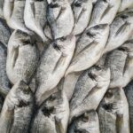 Close-up of fresh sea bream fish stacked on ice at a seafood market, highlighting freshness and quality.