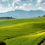 Lush green fields under a blue sky with distant mountains.