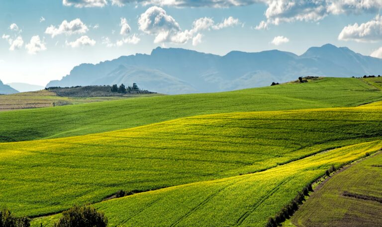 Lush green fields under a blue sky with distant mountains.