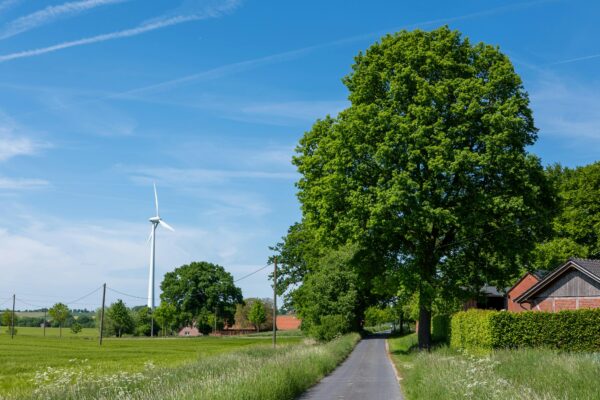 Scenic summer landscape featuring a rural road, wind turbine, and vibrant greenery under a blue sky.