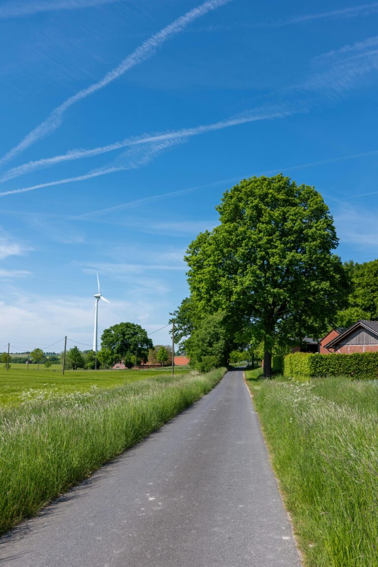 Scenic summer landscape featuring a rural road, wind turbine, and vibrant greenery under a blue sky.