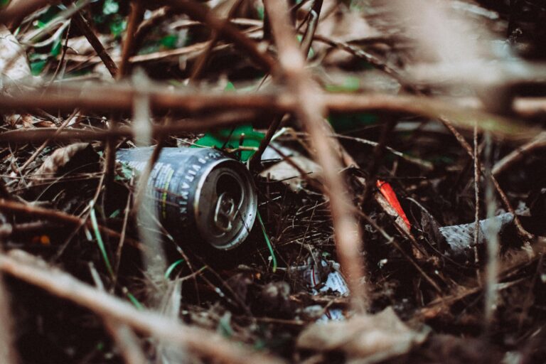 Close-up of a discarded can and trash in the underbrush, highlighting urban waste in nature.