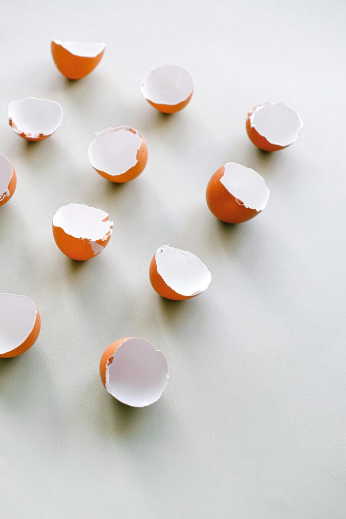 Tips Mengolah Sampah Organik