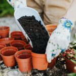 A person wearing gloves fills terracotta pots with soil for planting outdoors.