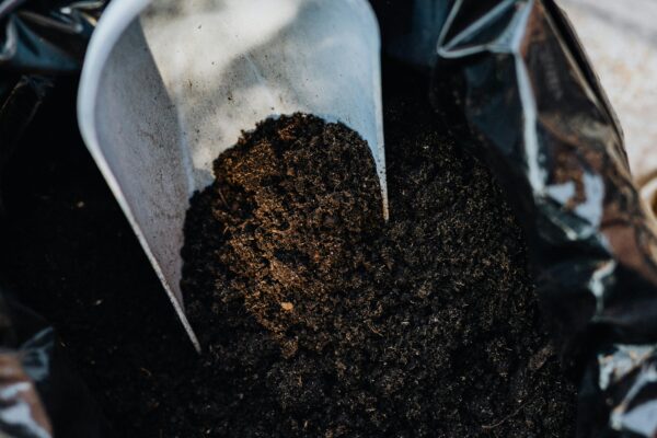 Garden trowel scooping soil from a black plastic bag, ideal for home gardening projects.