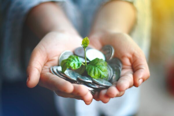 Hands cupping coins with a green plant sprouting, symbolizing financial growth.