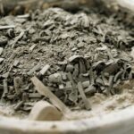 Detailed close-up of a white bowl filled with ashes and debris, highlighting texture.