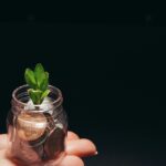 A small plant growing in a glass jar filled with coins, represents financial growth and sustainability.