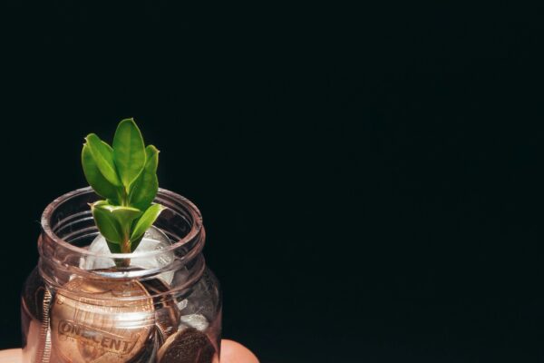 A small plant growing in a glass jar filled with coins, represents financial growth and sustainability.