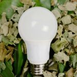 Close-up of a light bulb resting on a mix of dried and green leaves, symbolizing eco-friendliness.