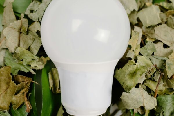 Close-up of a light bulb resting on a mix of dried and green leaves, symbolizing eco-friendliness.