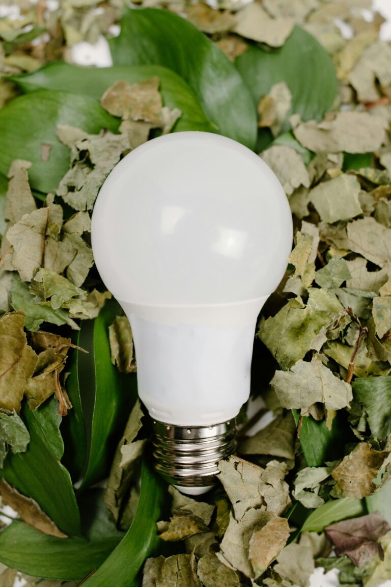 Close-up of a light bulb resting on a mix of dried and green leaves, symbolizing eco-friendliness.