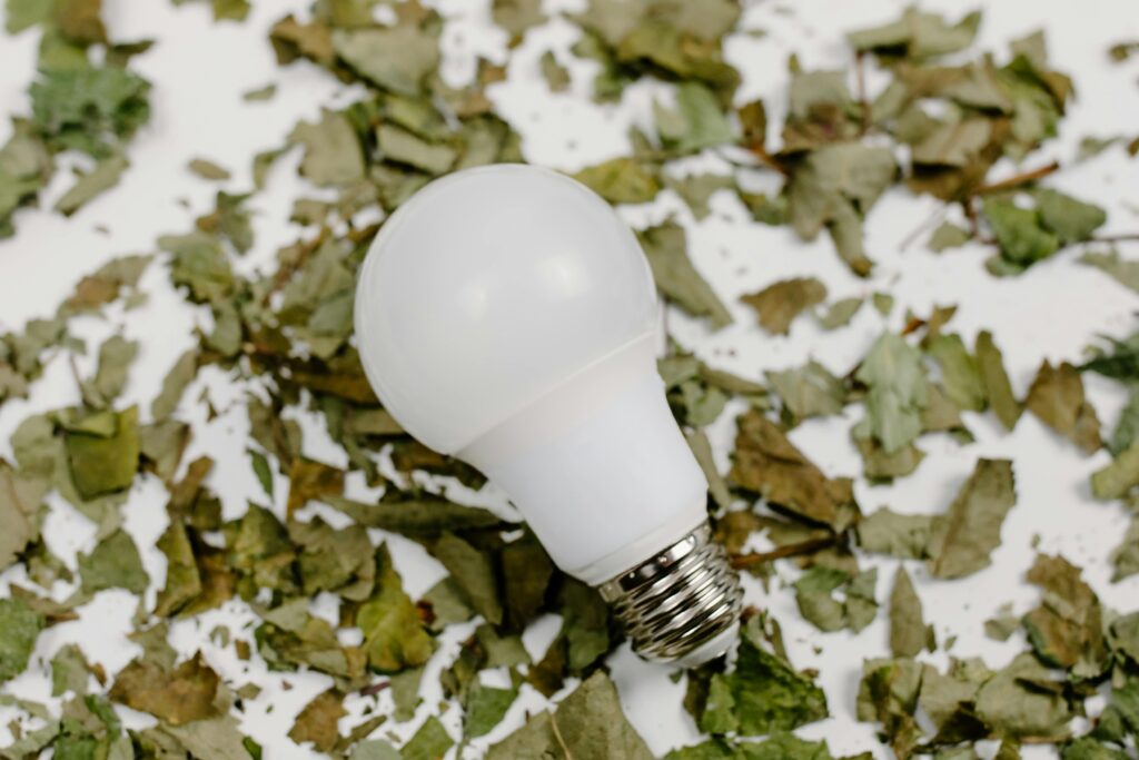 LED bulb lying on a bed of dried leaves representing eco-friendly energy ideas.