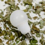 LED bulb lying on a bed of dried leaves representing eco-friendly energy ideas.