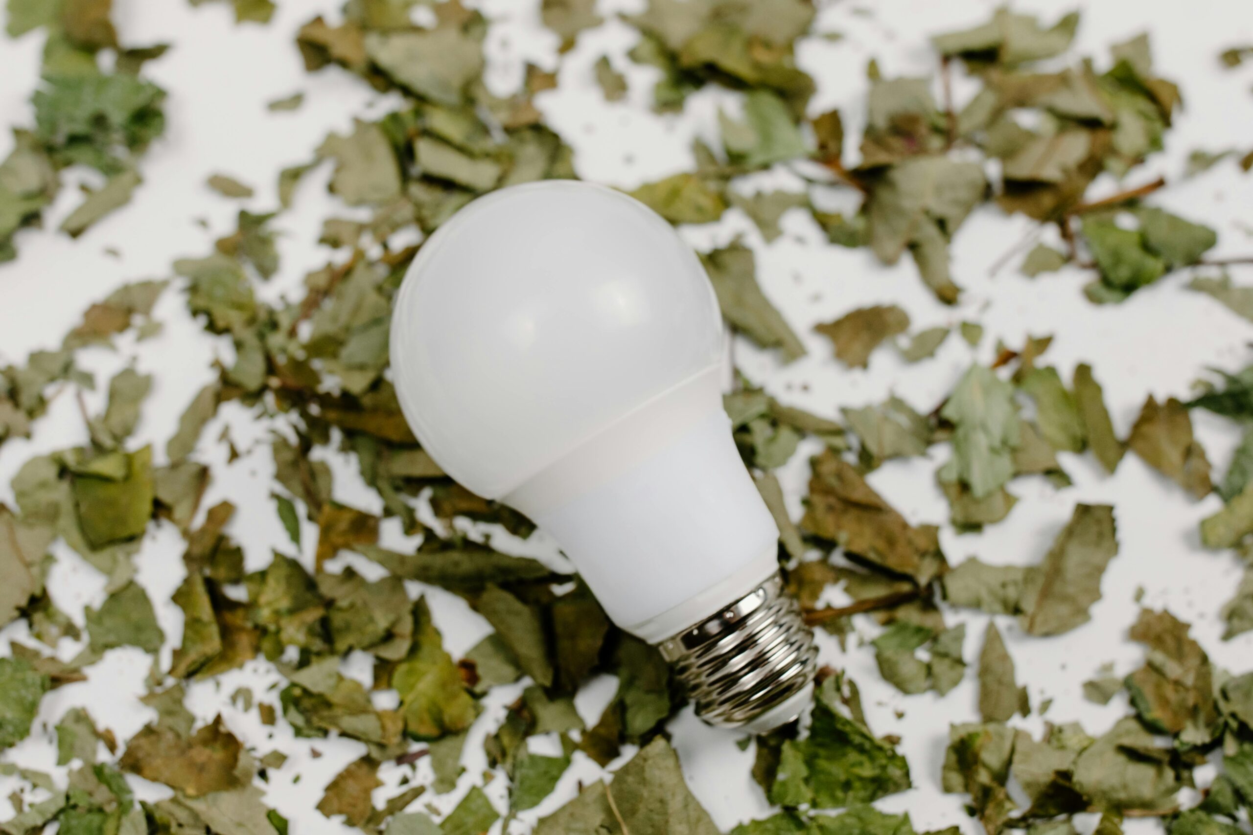 LED bulb lying on a bed of dried leaves representing eco-friendly energy ideas.