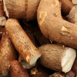 Detailed view of fresh cassava roots highlighting their organic texture and natural abundance.