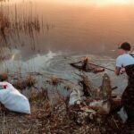 Man cleaning lake banks using a net, promoting environmental conservation.