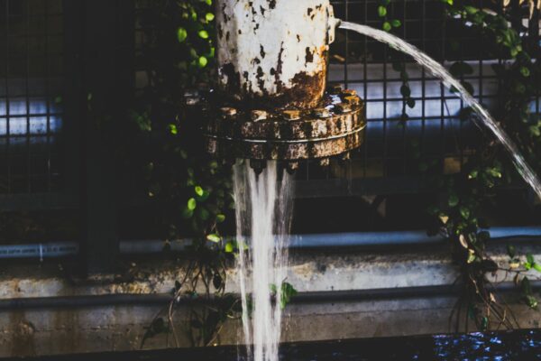 A rusty pipe discharges water into an industrial environment, surrounded by lush foliage.